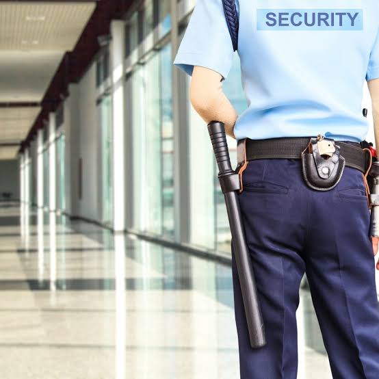 Security Inspector Male